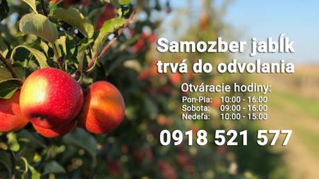 Samozber jabĺk - Obrázok č. 1
