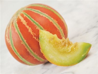 Melón kajari - Obrázok č. 1
